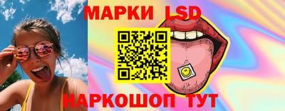 Альфа ПВП Гатчина