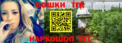 Альфа ПВП Гатчина