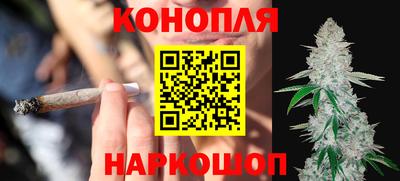 сатива Гай