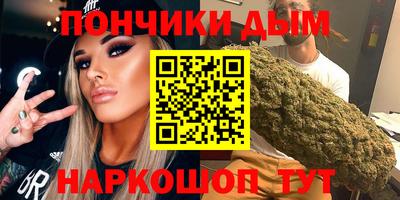 сатива Гай