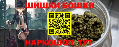 Альфа ПВП Гатчина