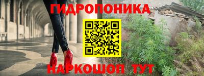 Альфа ПВП Гатчина