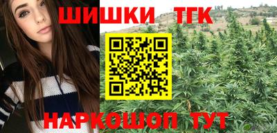 сатива Гай