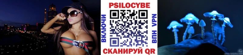OMG ССЫЛКА  как найти наркотики  Дятьково  Галлюциногенные грибы прущие грибы 