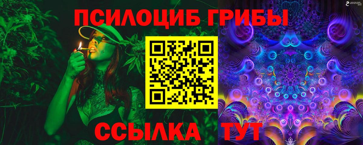 Псилоцибиновые грибы MAGIC MUSHROOMS Дятьково
