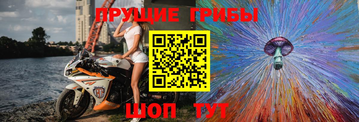 Дятьково  Галлюциногенные грибы Psilocybe  Вход с VPN 