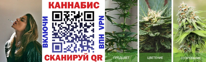 Конопля Bruce Banner  Дятьково 